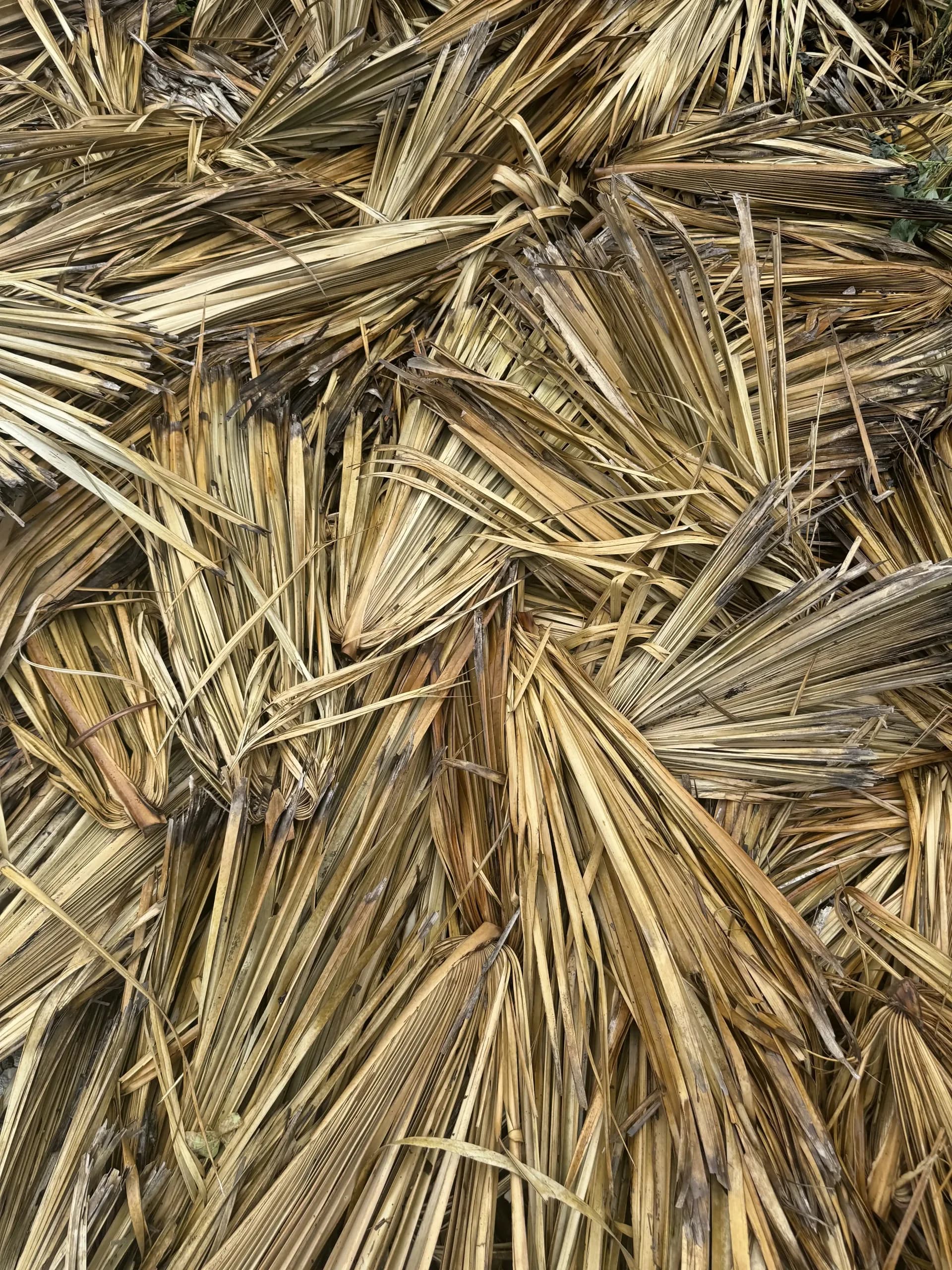 Material orgánico para construcción sustentable en Lula Sanctuary